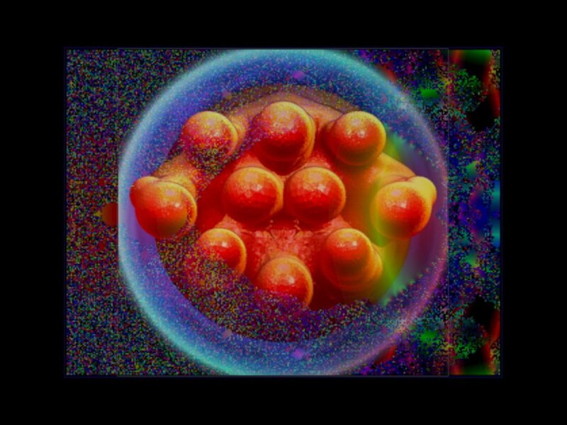 Embryonic Cells in Sphere