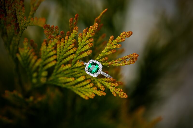 Emerald ring on green branch