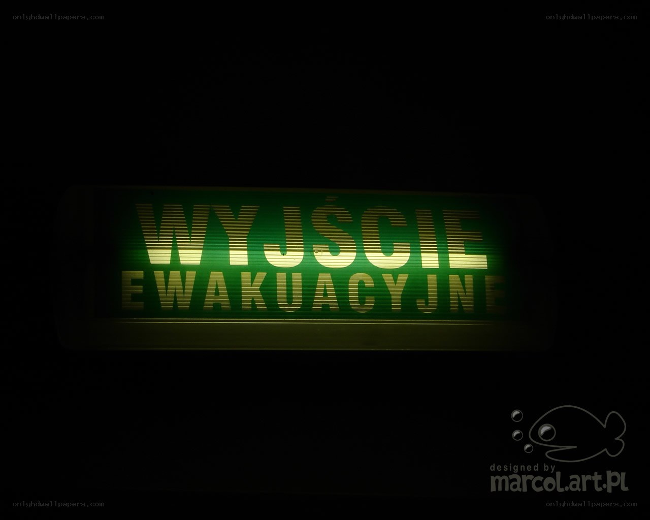 Emergency exit sign in Polish