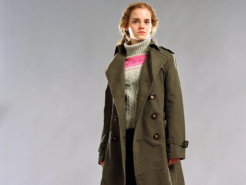 Emma Watson as Hermione Granger
