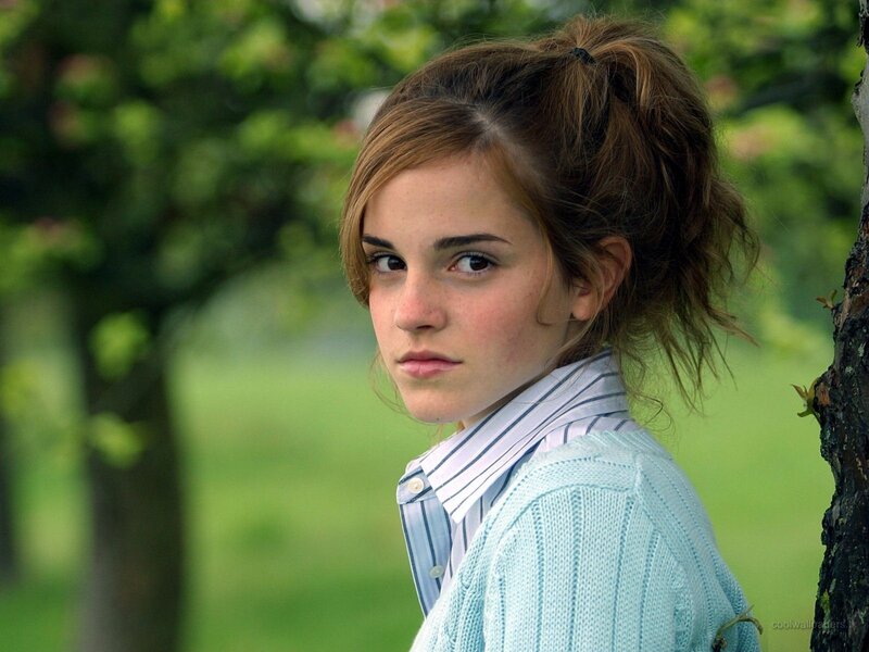 Emma Watson as Hermione Granger