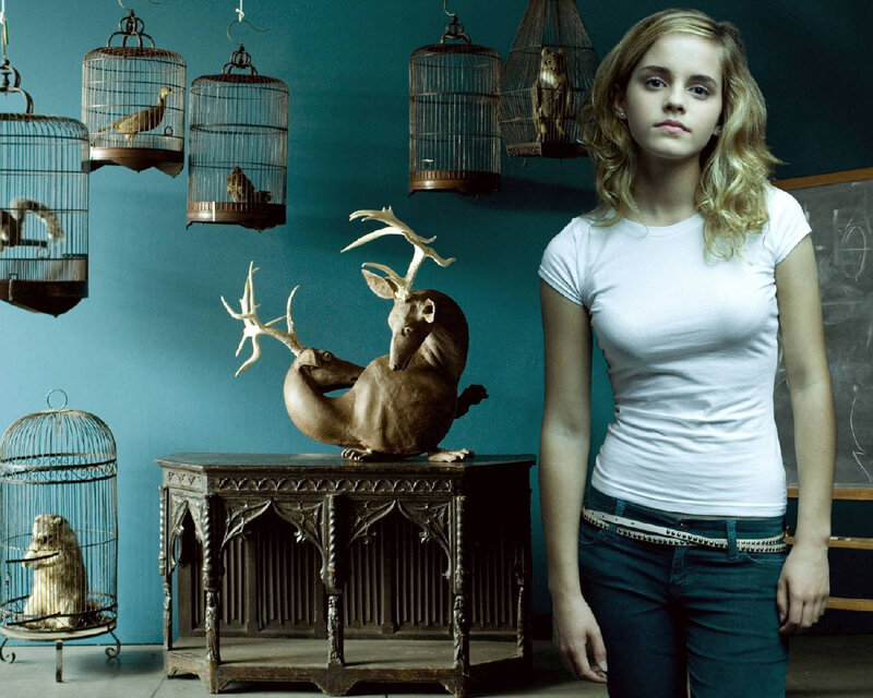 Emma Watson in a room with birdcages