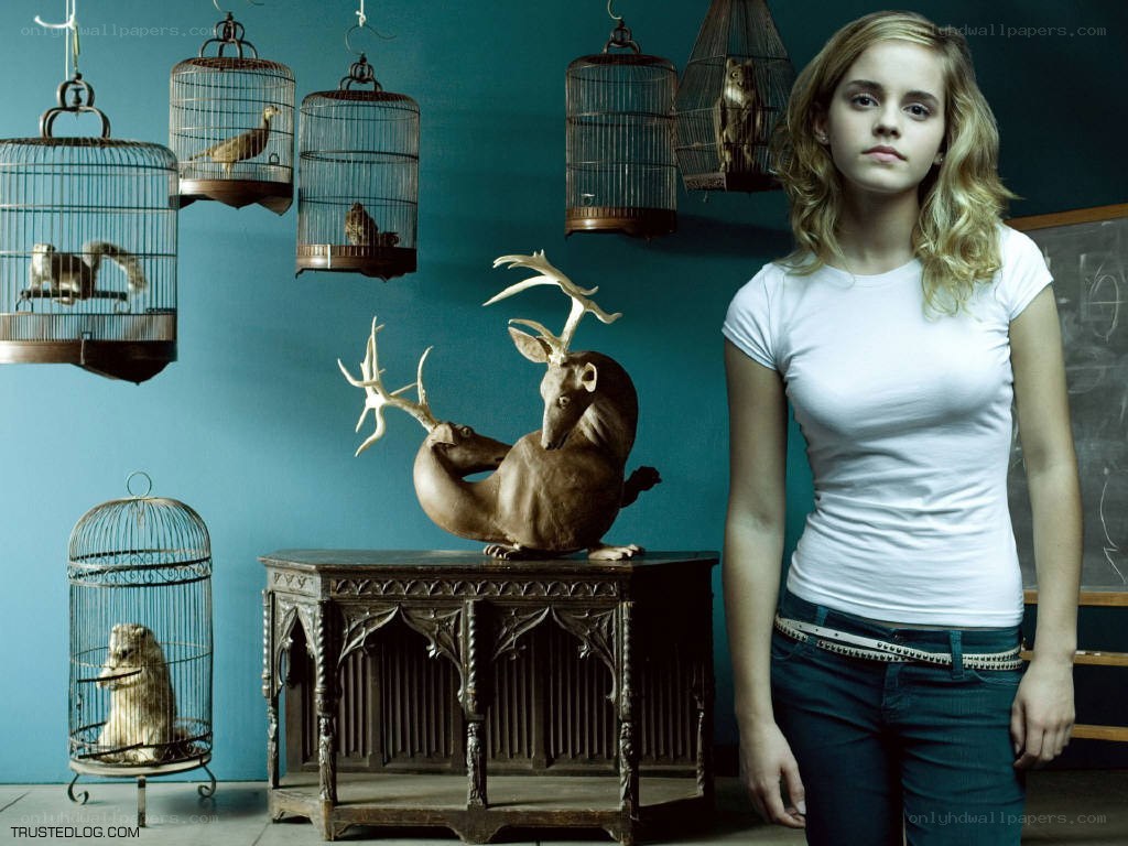 Emma Watson in a surreal room