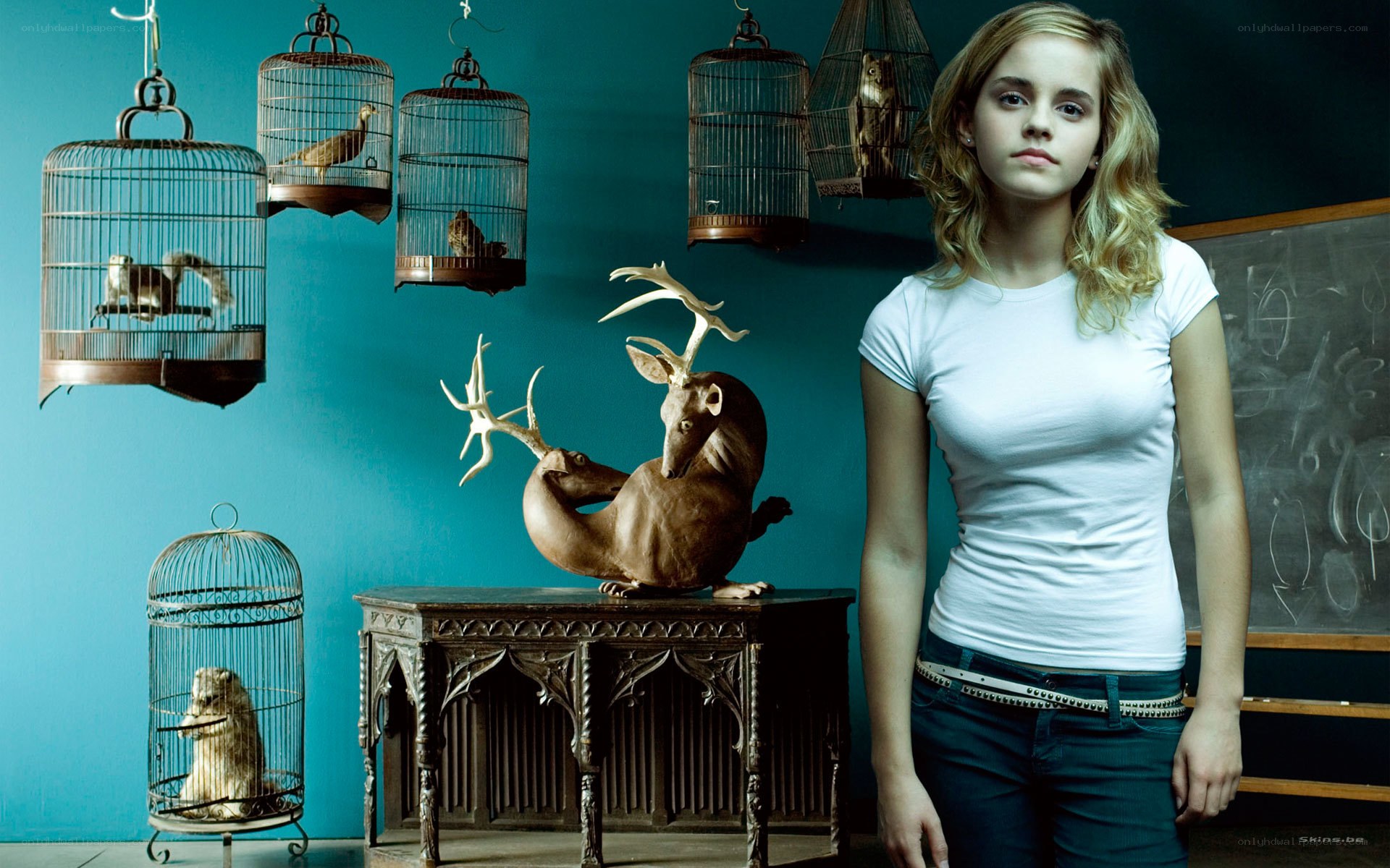 Emma Watson in a surreal room