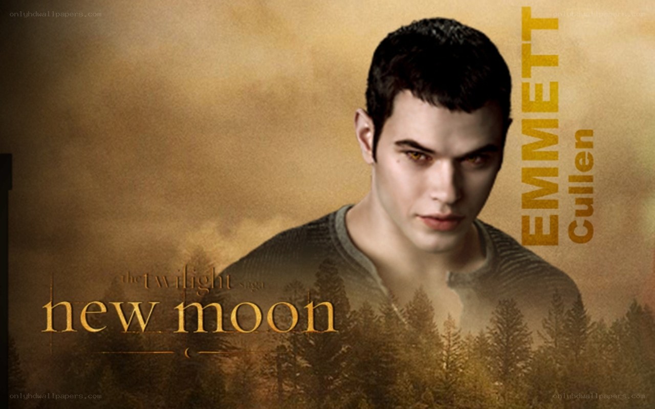 Emmett Cullen from New Moon