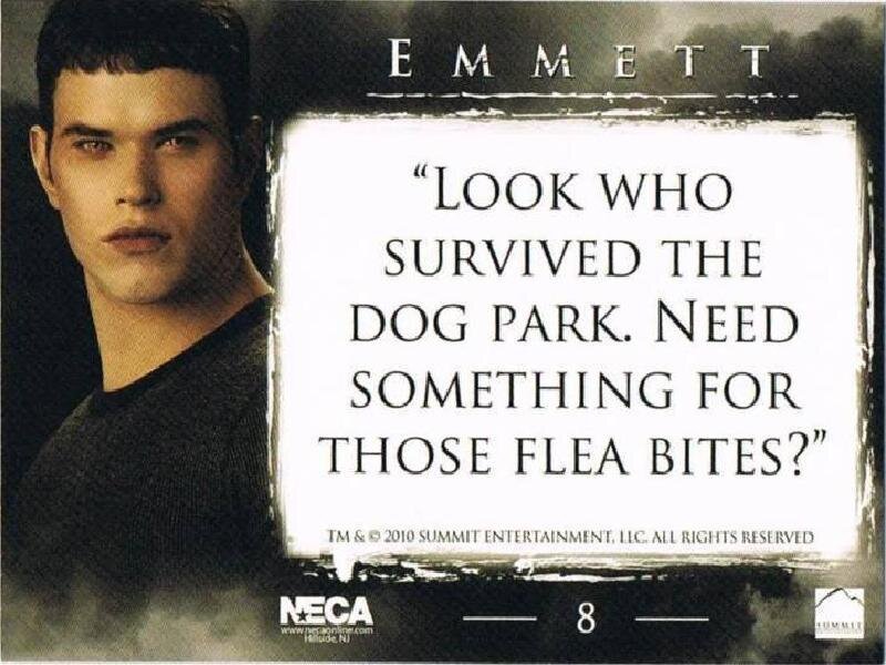 Emmett Cullen quote card