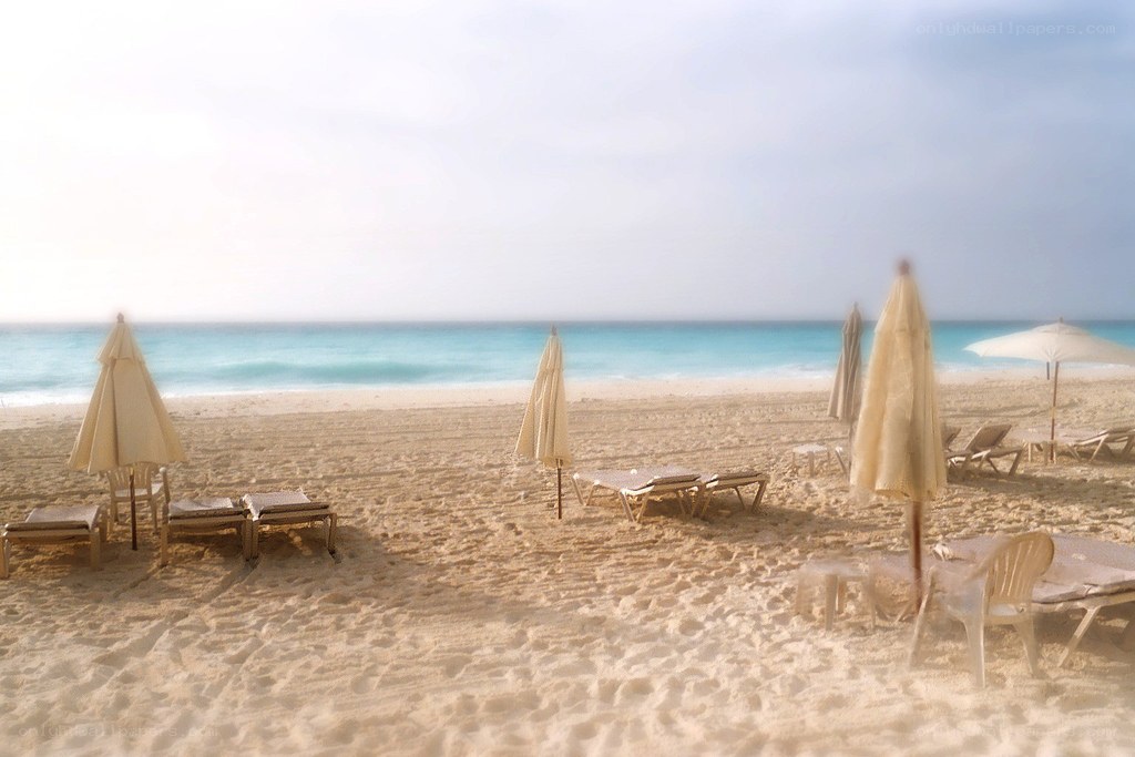 Empty beach with lounge chairs