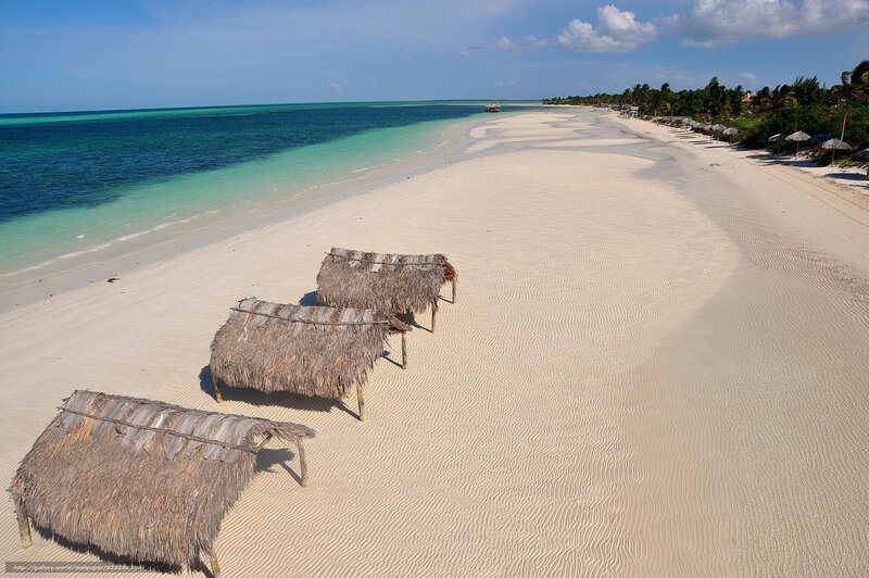 Empty beach with thatched huts