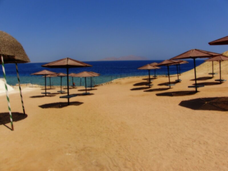 Empty beach with umbrellas