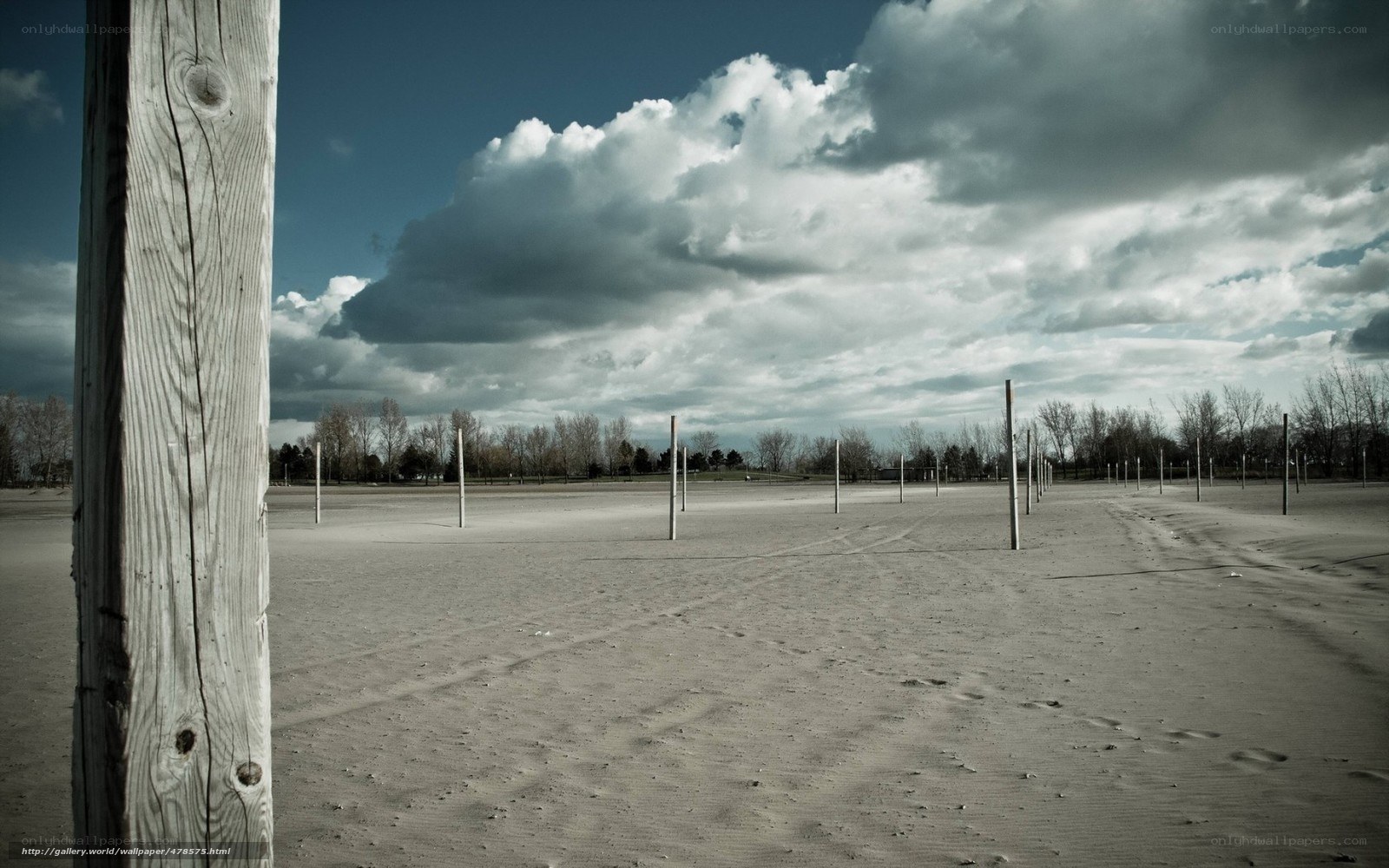 Empty beach with wooden poles