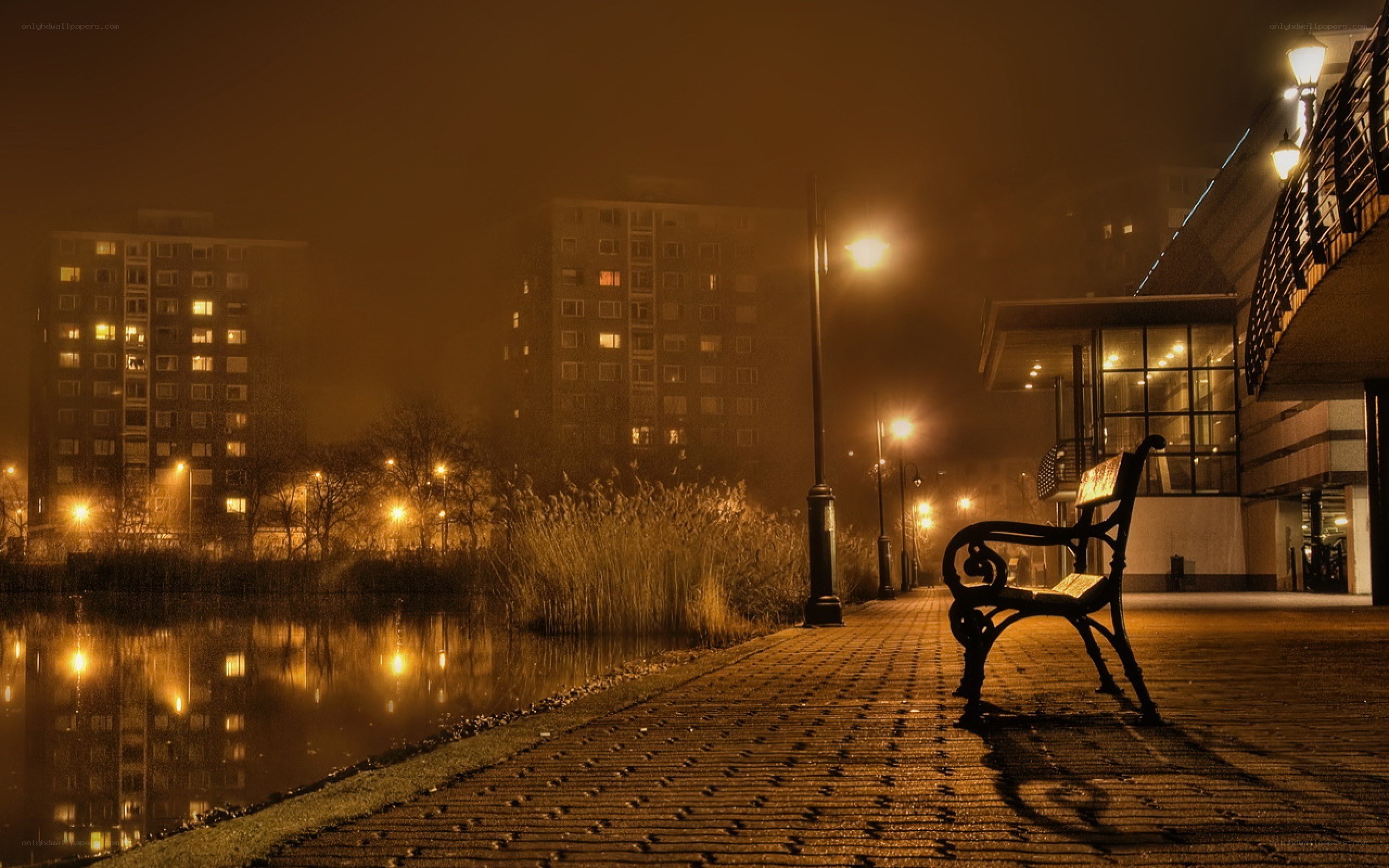 Empty bench at night by the water