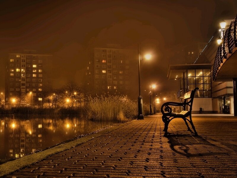 Empty bench at night by the water
