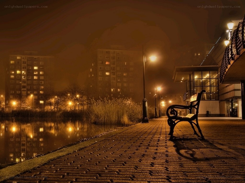 Empty bench at night by the water