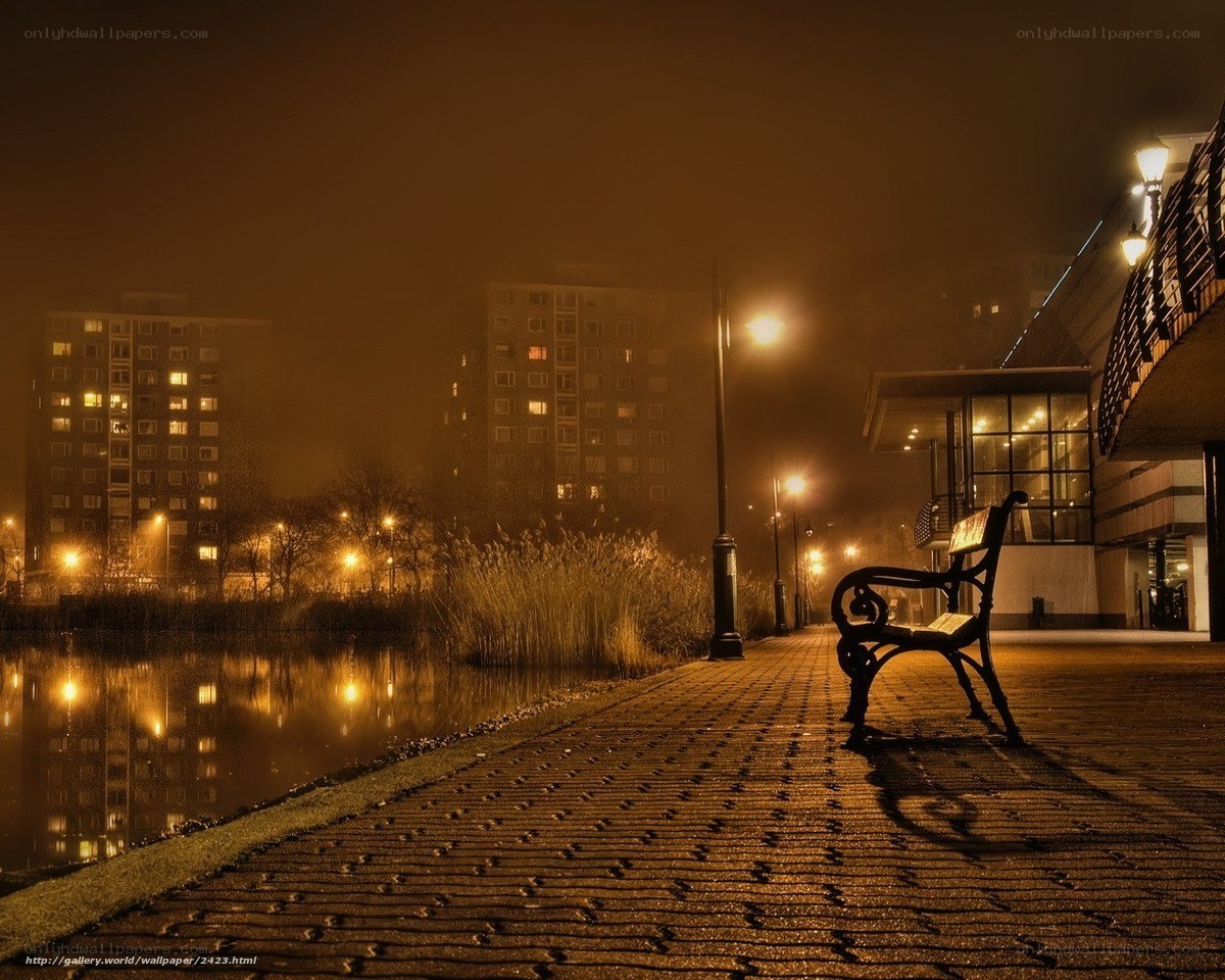 Empty bench at night by the water