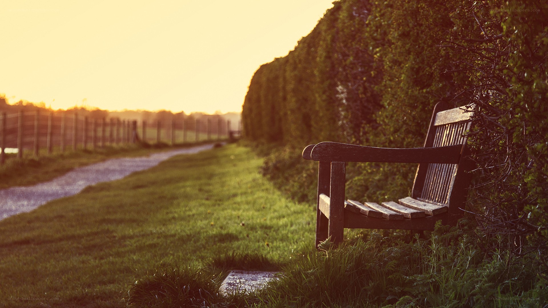 Empty bench at sunset