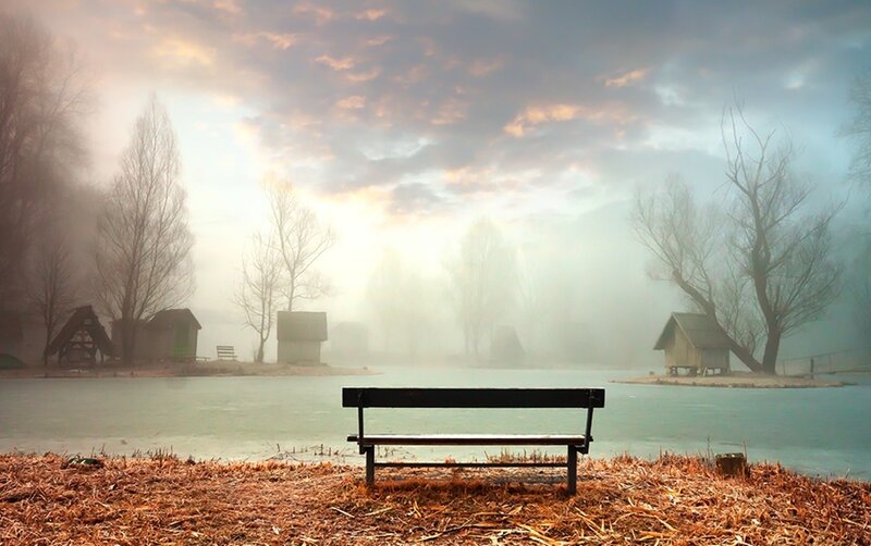 Empty Bench by Lake — Brown, Serene