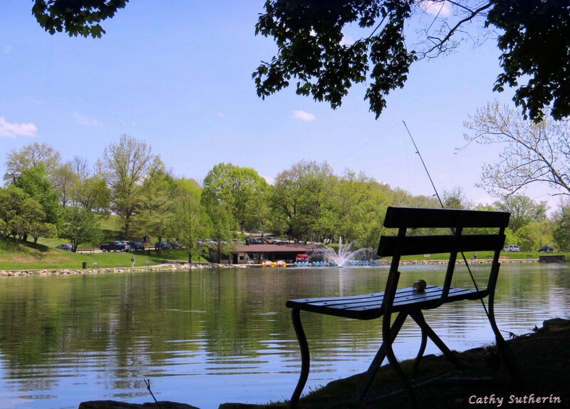 Empty Bench by Lake — Green, Serene, Afternoon