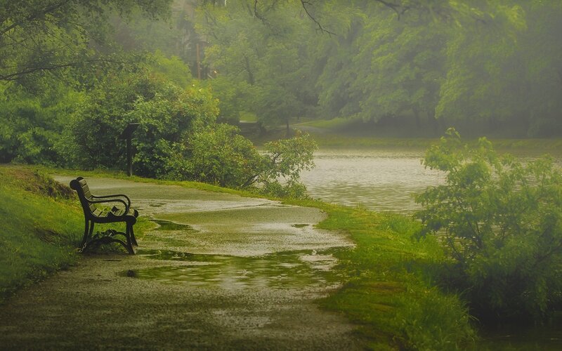 Empty Bench by Lake — Green, Serene, Morning, Photograph