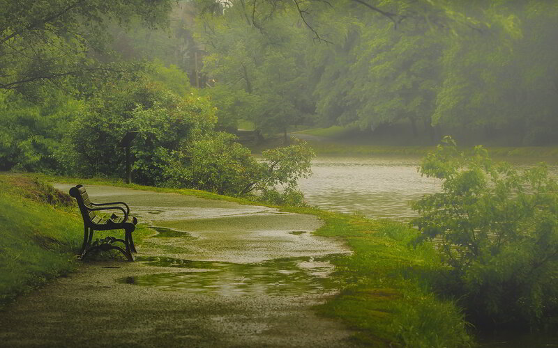 Empty Bench by Lake — Green, Serene, Morning