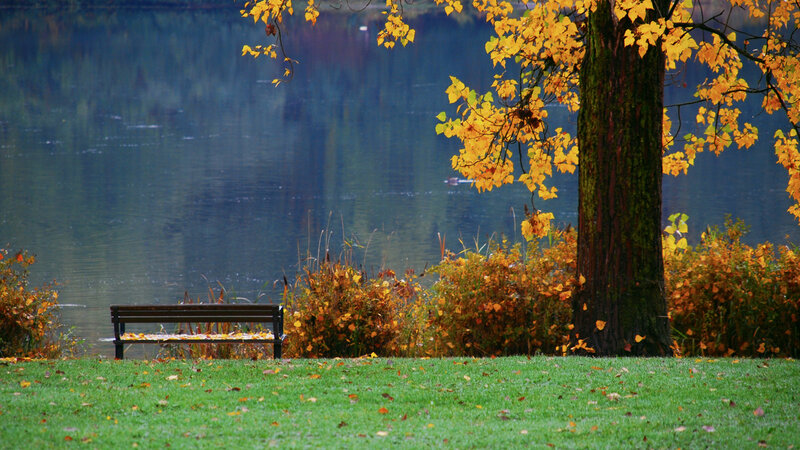 Empty Bench by Lake — Green