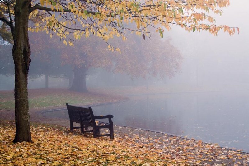 Empty Bench by Lake — Yellow