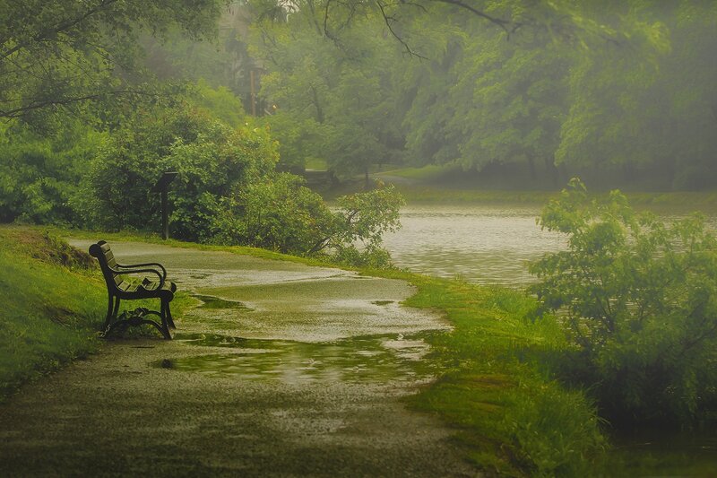 Empty Bench by Pond — Green