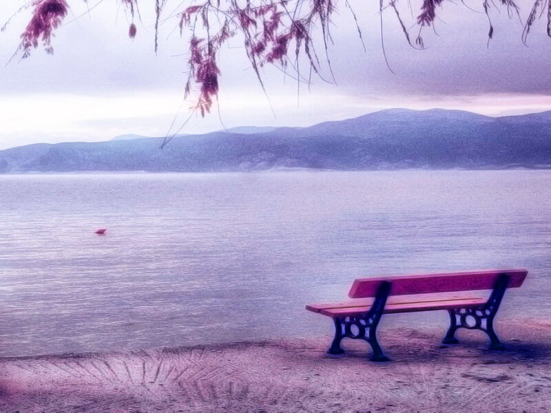 Empty Bench by Water — Purple