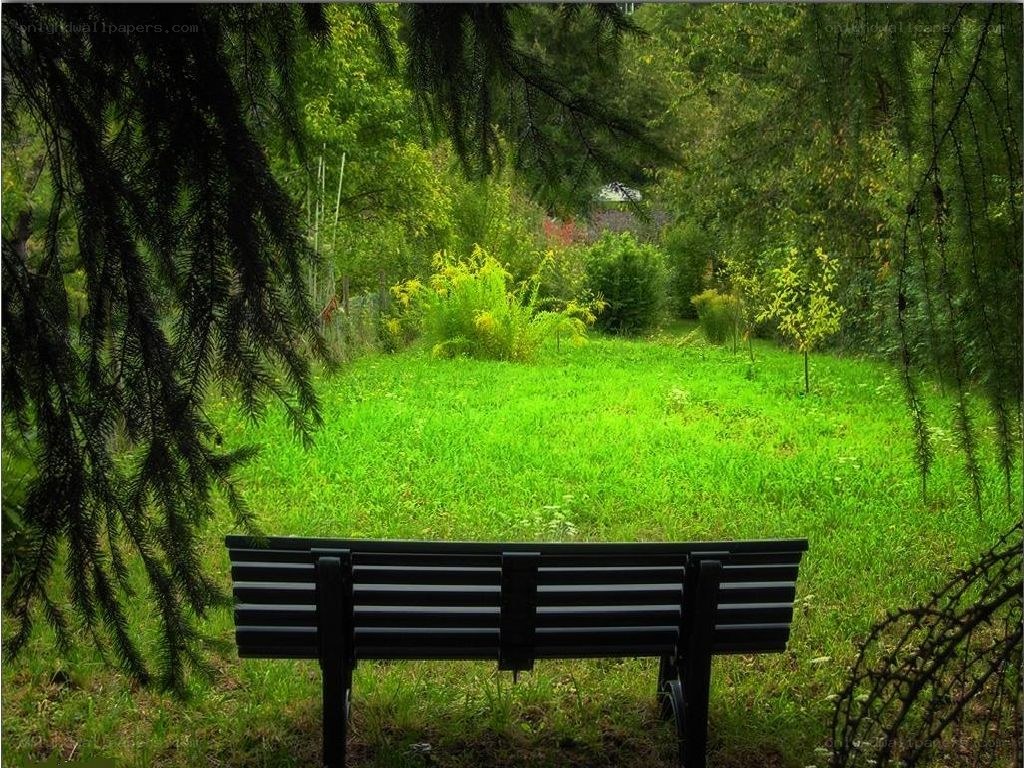 Empty bench in a green park