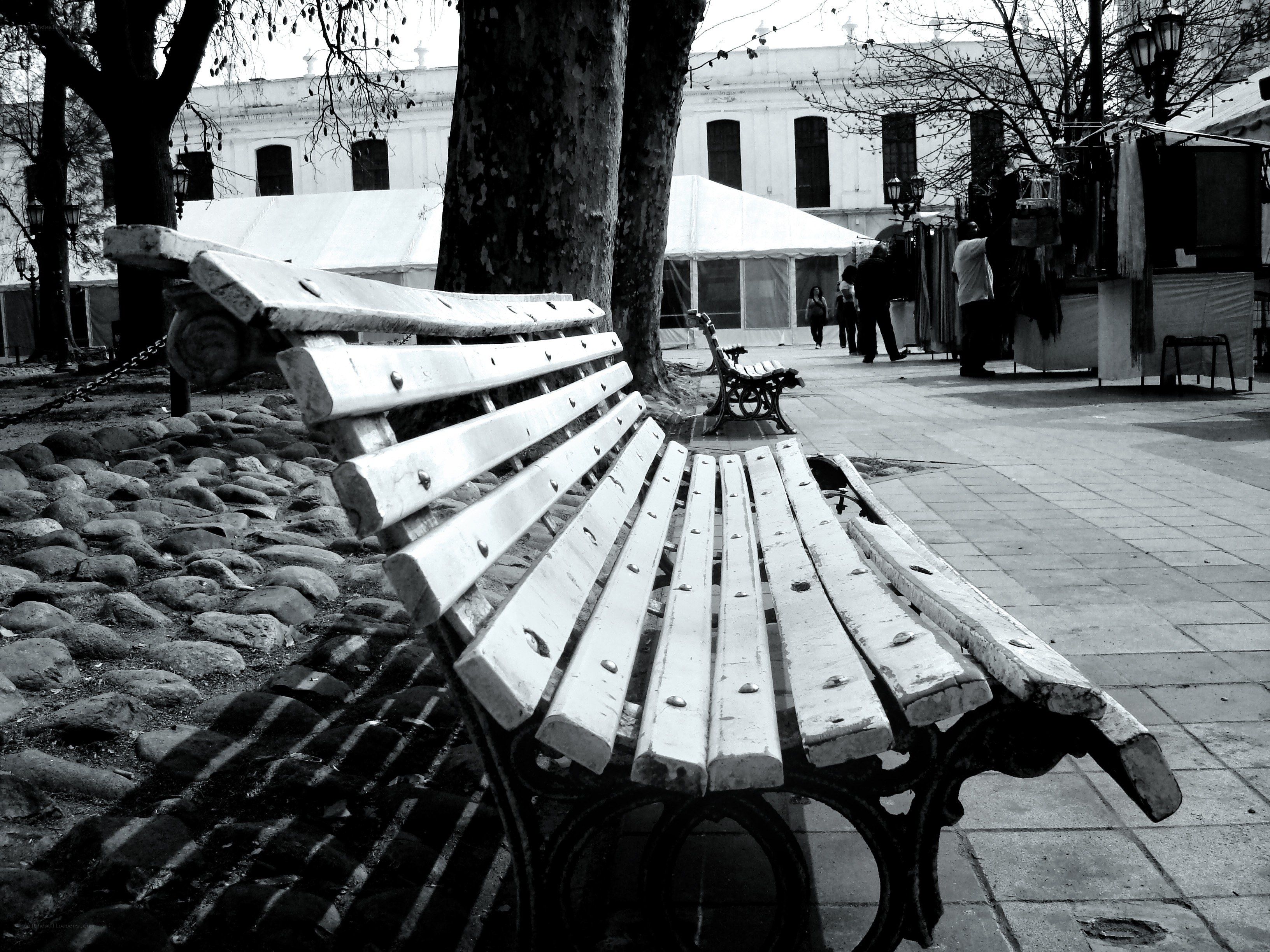 Empty bench in a park