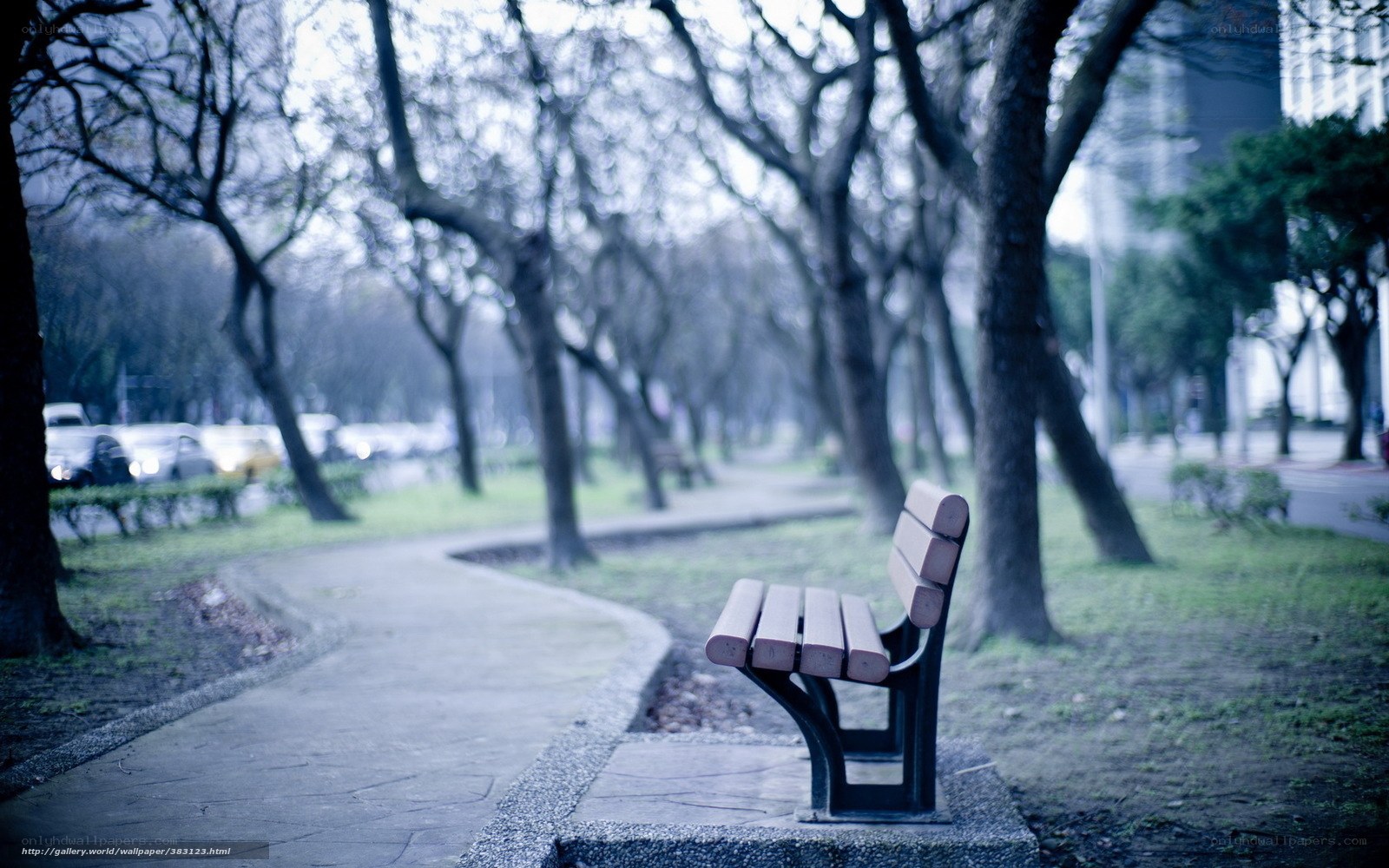 Empty bench in a park
