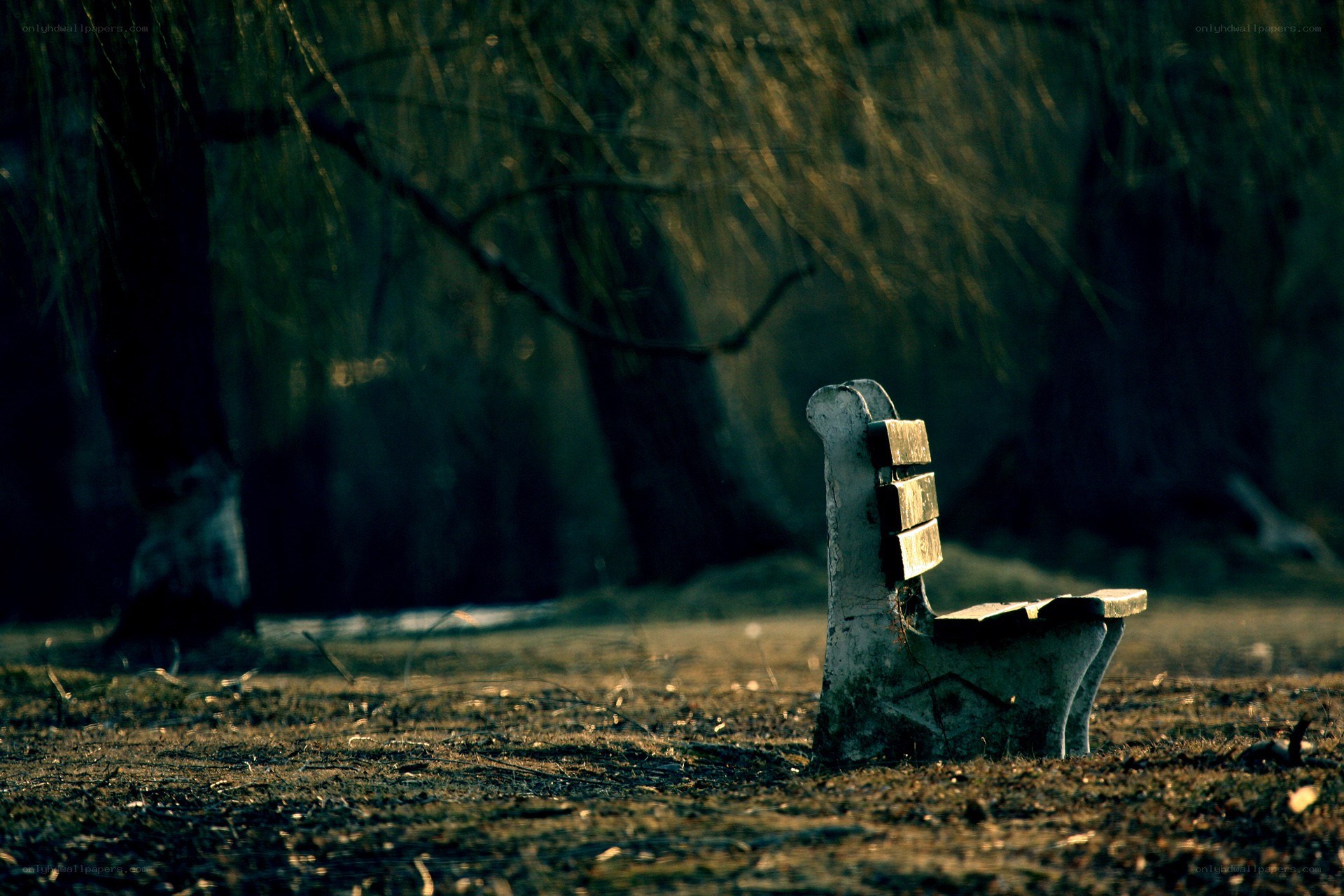 Empty bench in a quiet park