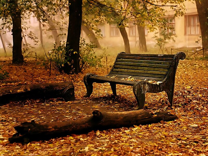 Empty Bench in Autumn — Brown, Serene
