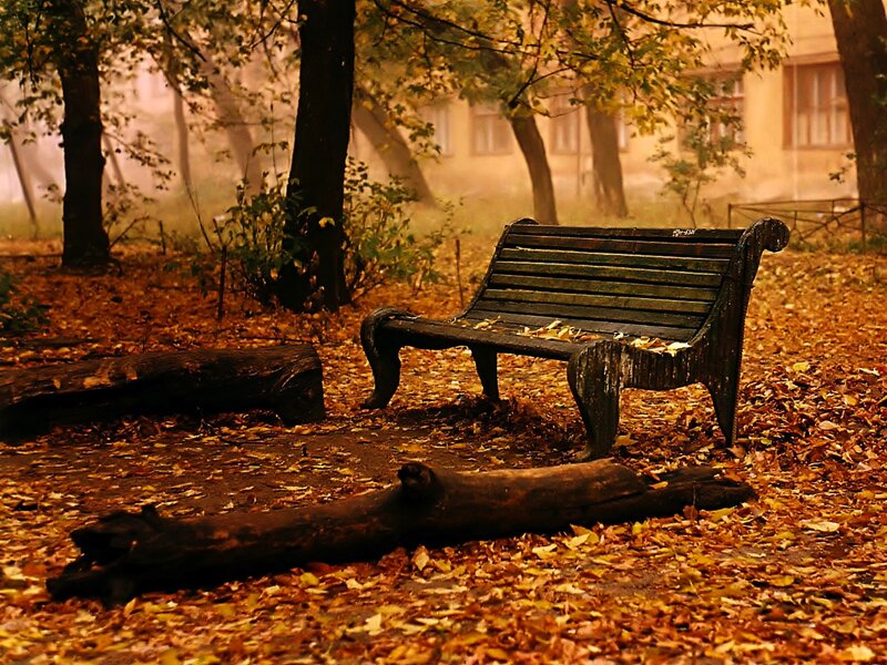 Empty Bench in Autumn — Brown