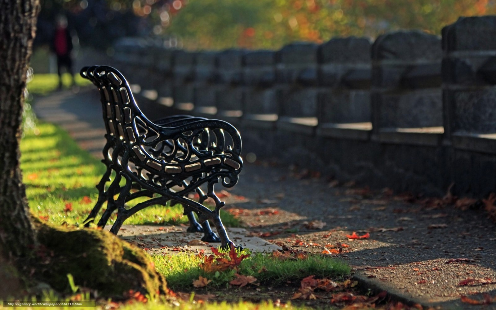 Empty bench in autumn park