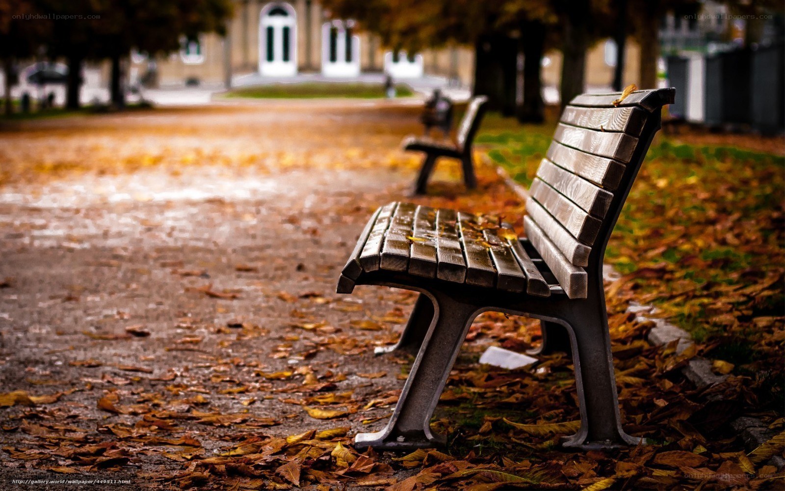 Empty bench in autumn park
