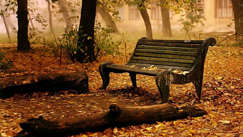 Empty bench in autumn park
