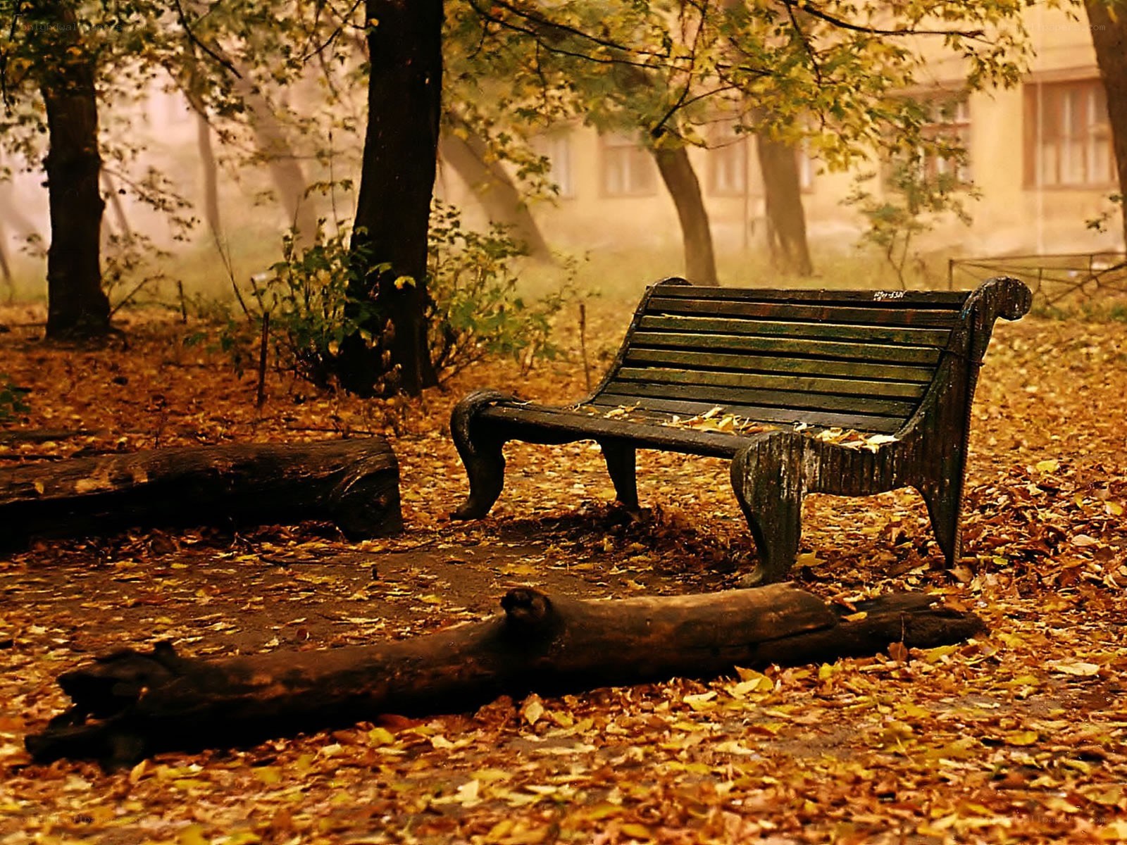 Empty bench in autumn park