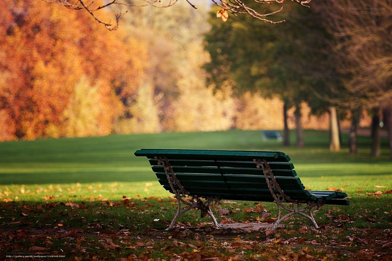 Empty bench in autumn park