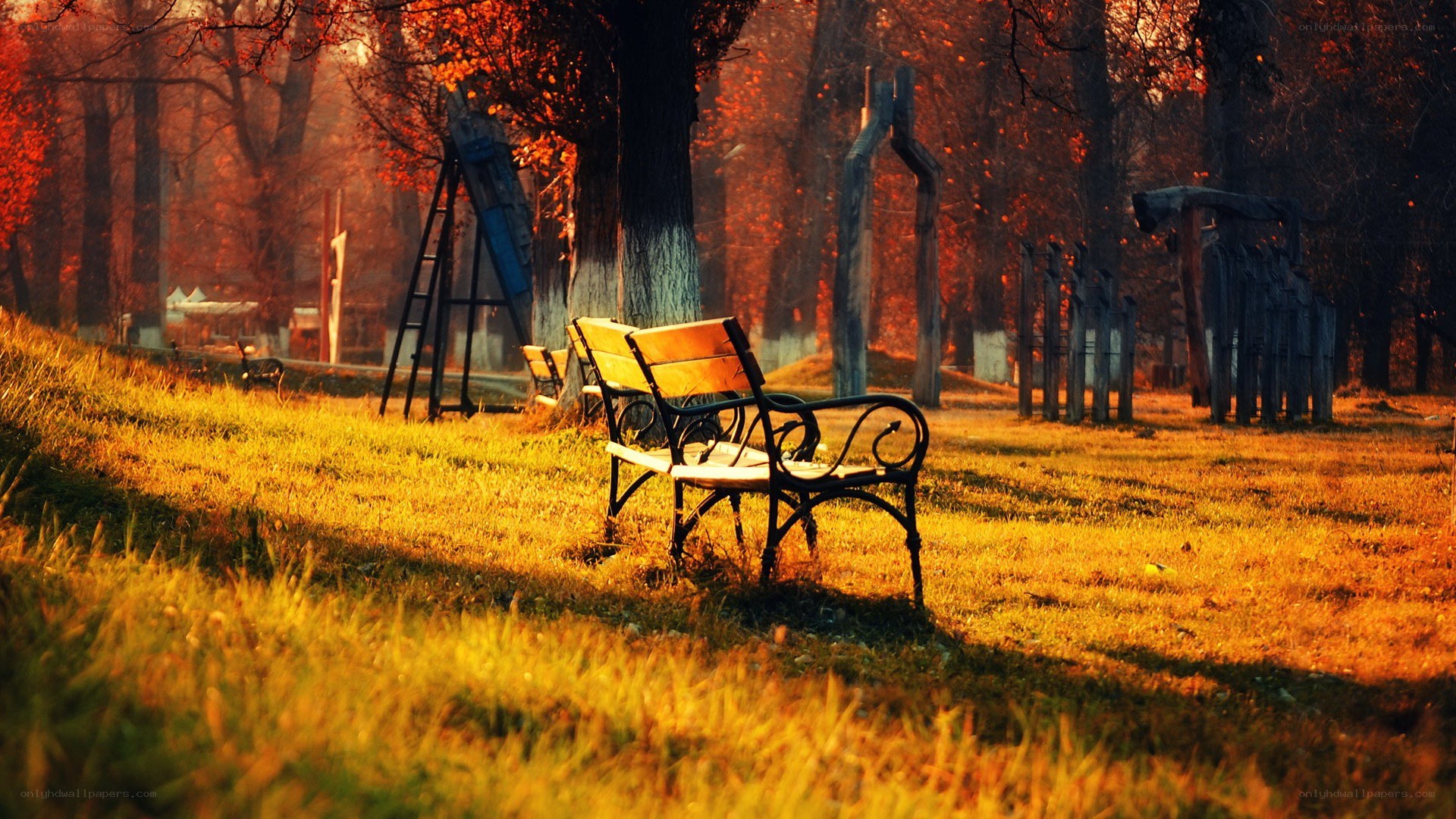 Empty bench in autumn park