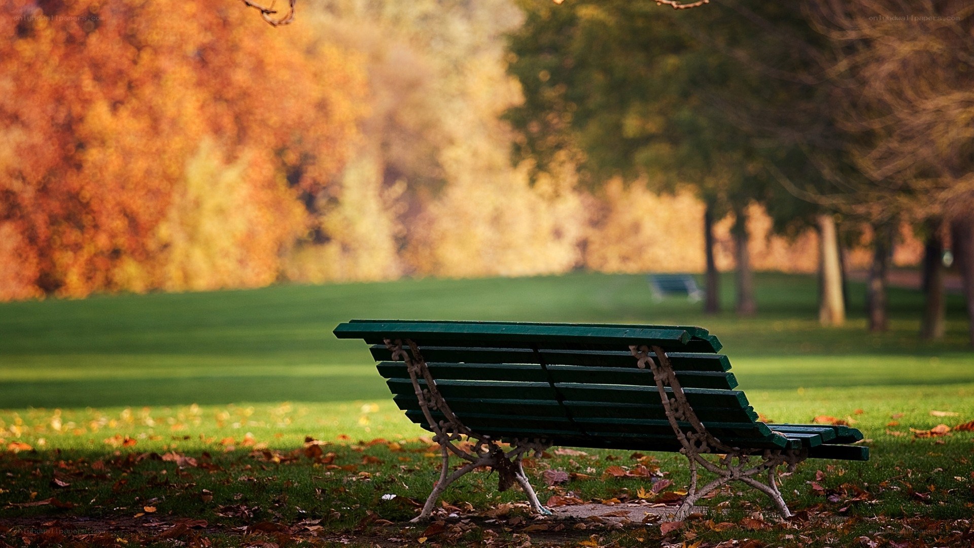 Empty bench in autumn park