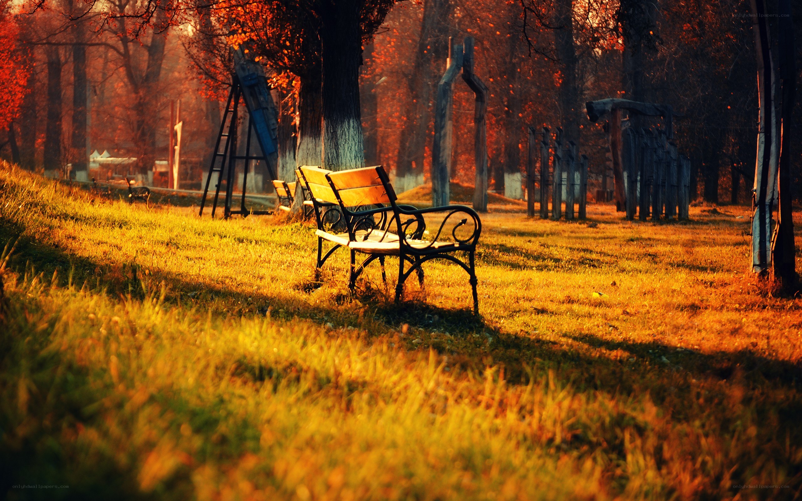 Empty bench in autumn park
