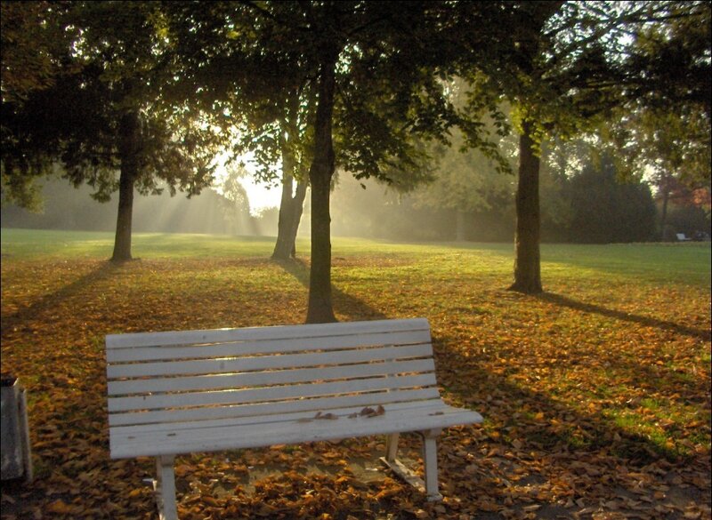 Empty bench in autumn park