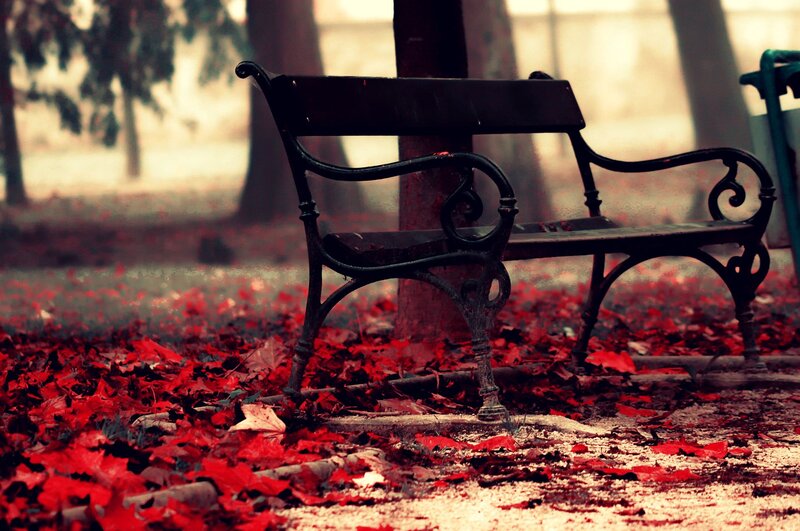 Empty Bench in Autumn — Red
