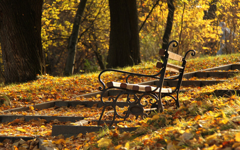 Empty Bench in Autumn — Yellow