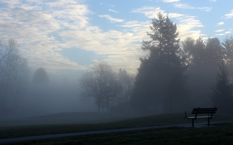 Empty Bench in Fog — Blue