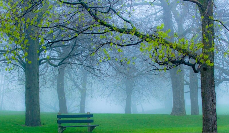 Empty Bench in Fog — Green, Serene, Morning