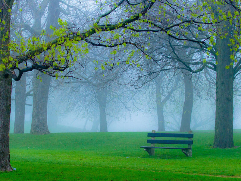 Empty Bench in Fog — Green, Serene, Spring, Photograph