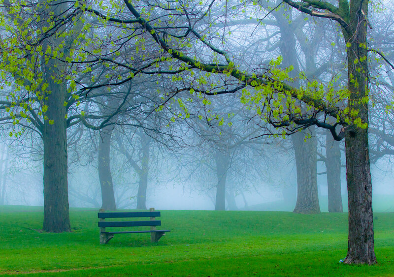 Empty Bench in Fog — Green, Serene, Spring