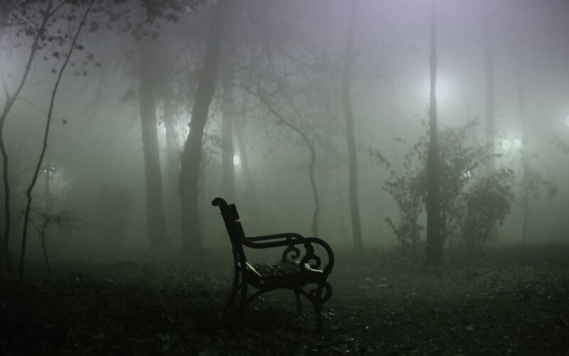 Empty Bench in Fog — Green