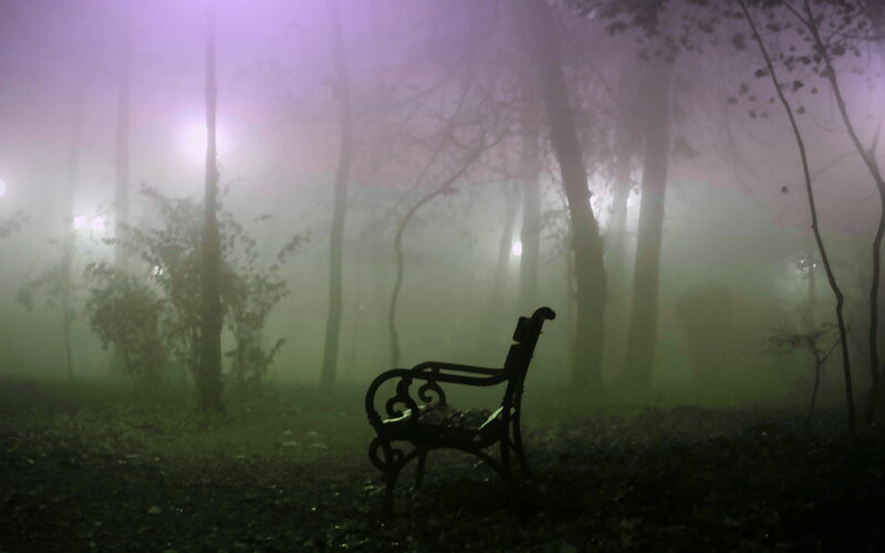 Empty Bench in Fog — Purple